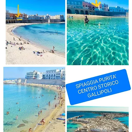 Estelle גאליפולי